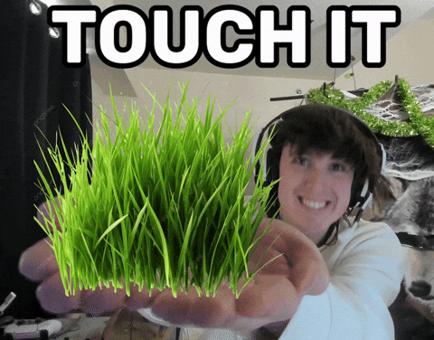 Touching grass GIF