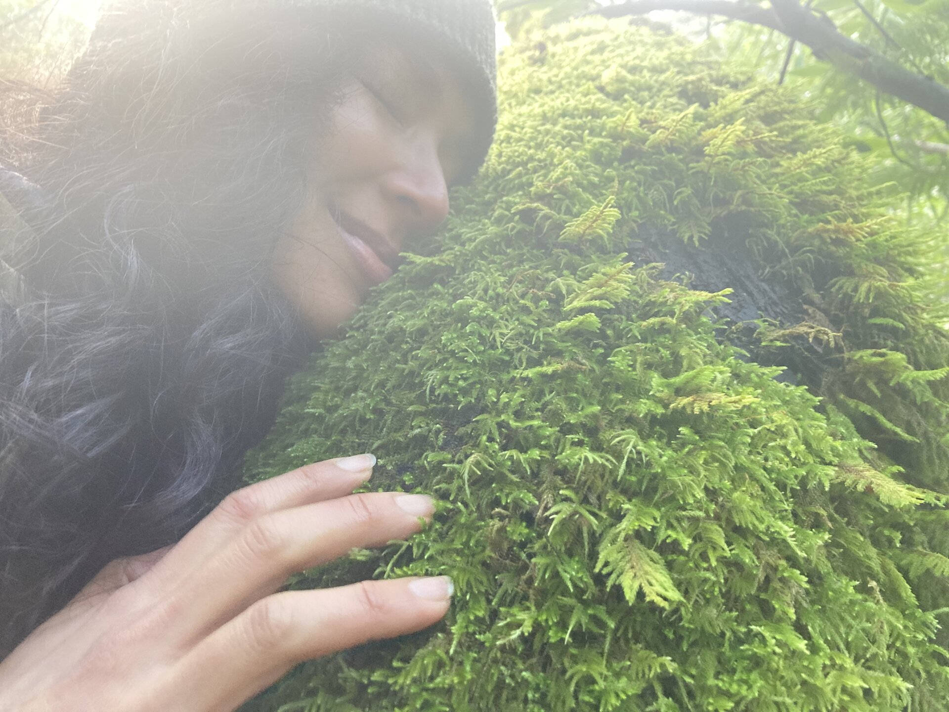 Soft moss-covered forest floor
